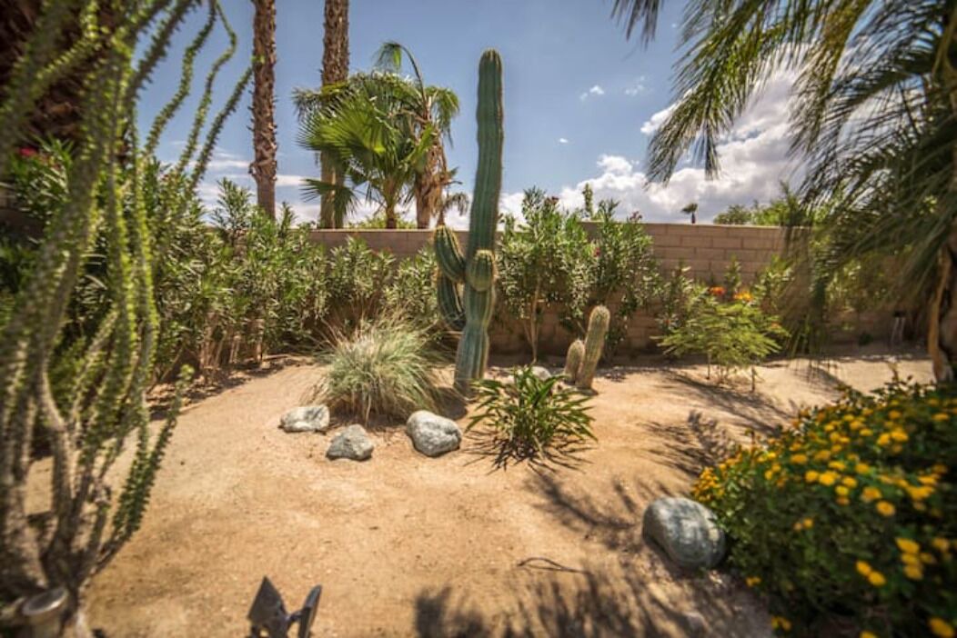 Photo of Outdoor in Desert Park Estates