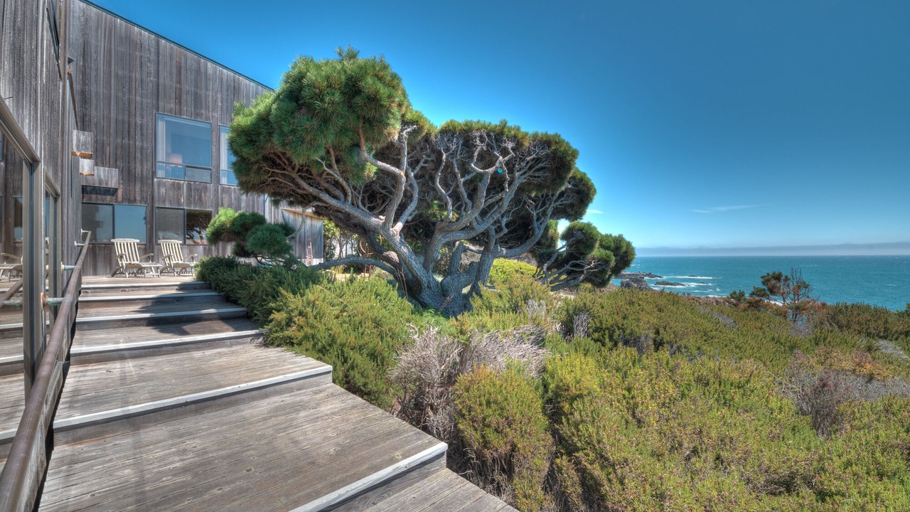Photo of Outdoor in Stewarts Point