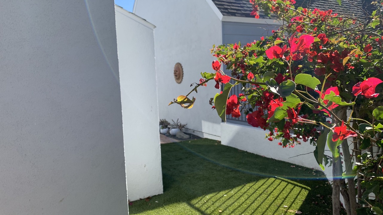Photo of Outdoor in Dana Point