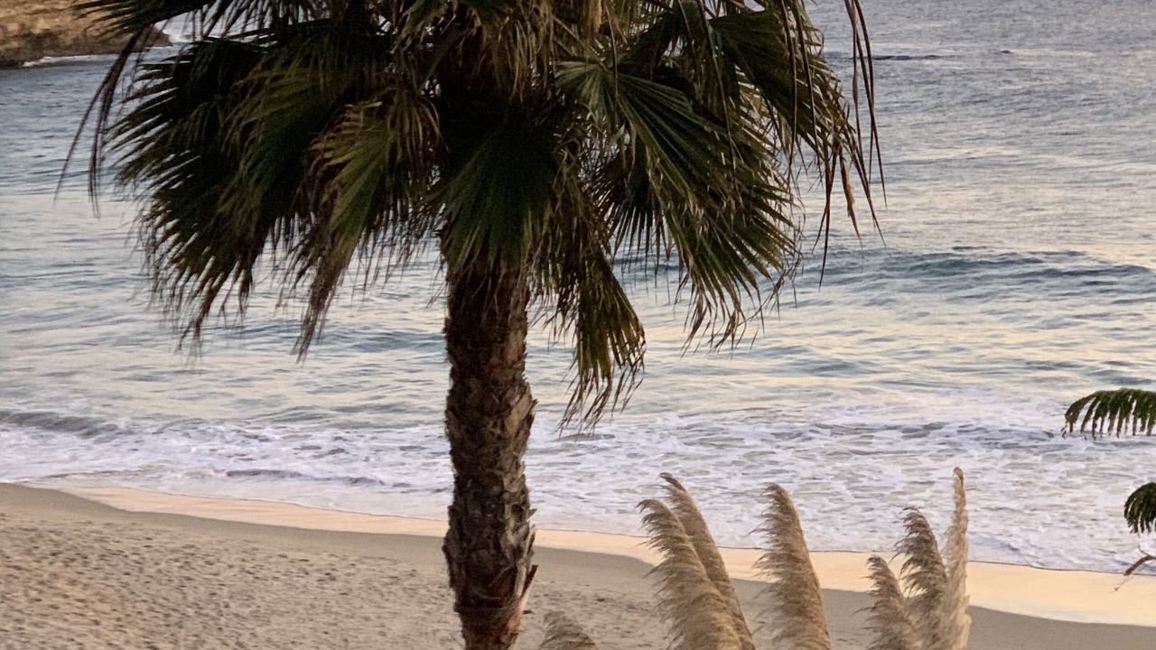 Photo of Others in Dana Point