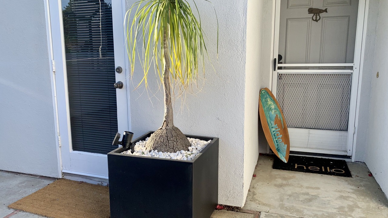 Photo of Outdoor in Dana Point