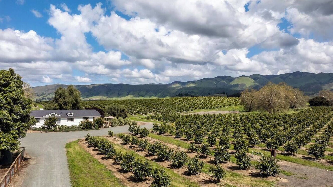 Photo of Outdoor in San Luis Obispo