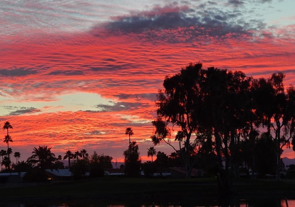 Photo of Others in Sun Lakes
