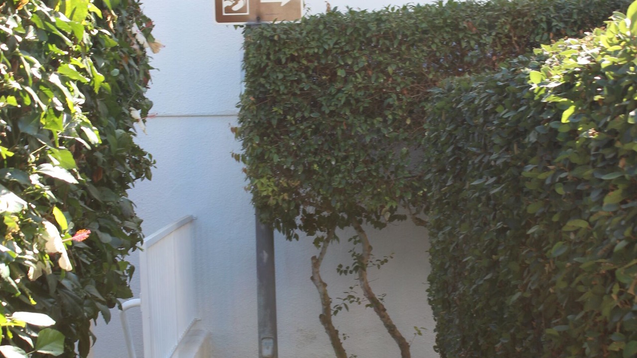 Photo of Outdoor in Village of La Jolla