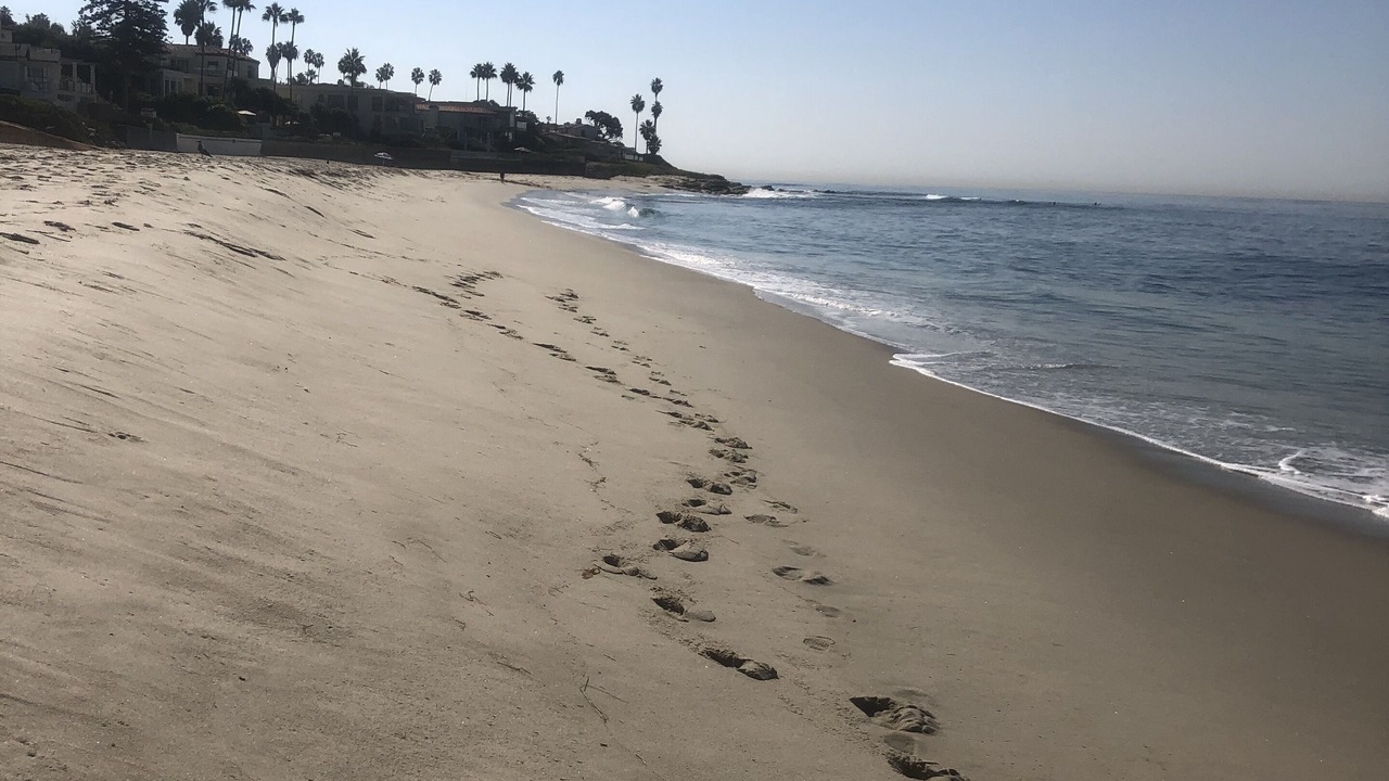 Photo of Others in Village of La Jolla