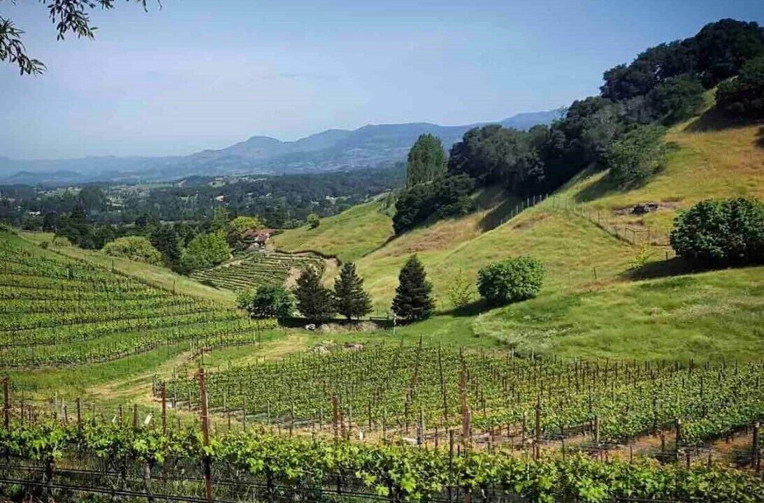 Photo of Outdoor in Napa
