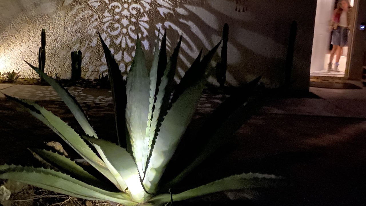 Photo of Outdoor in Joshua Tree