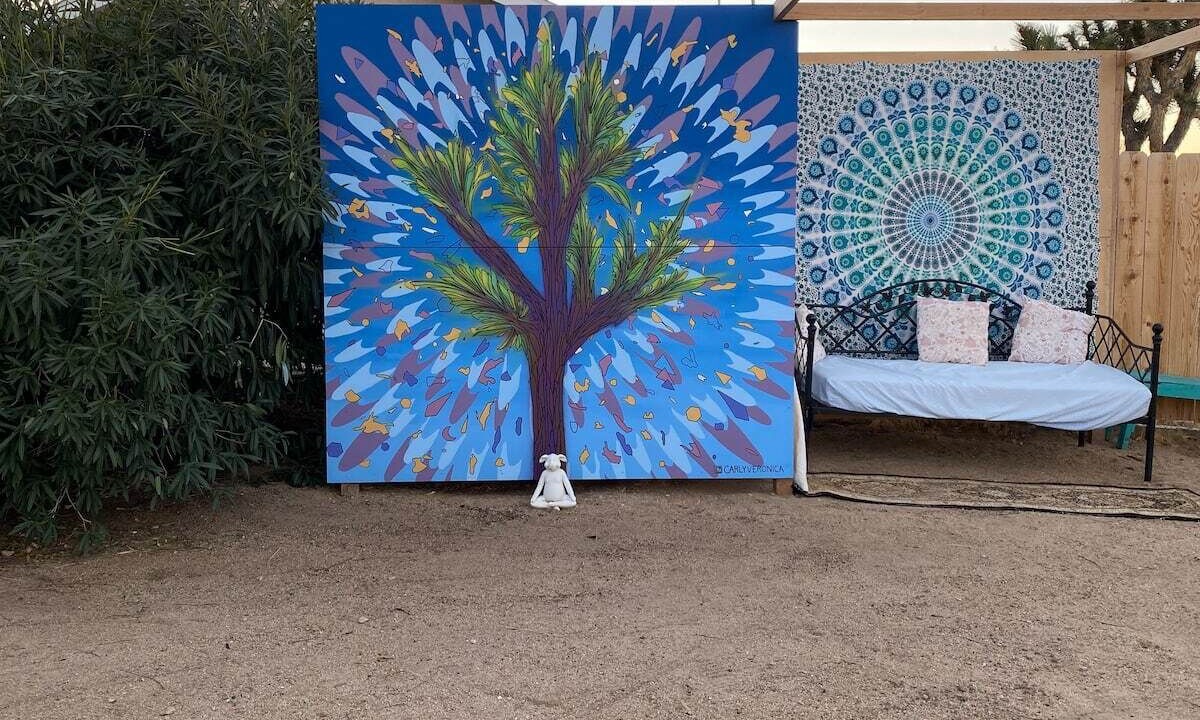 Photo of Outdoor in Joshua Tree
