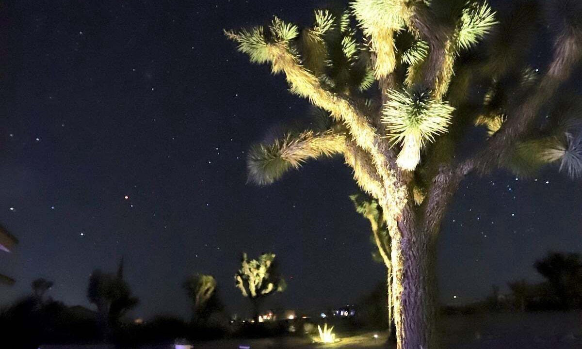 Photo of Outdoor in Joshua Tree