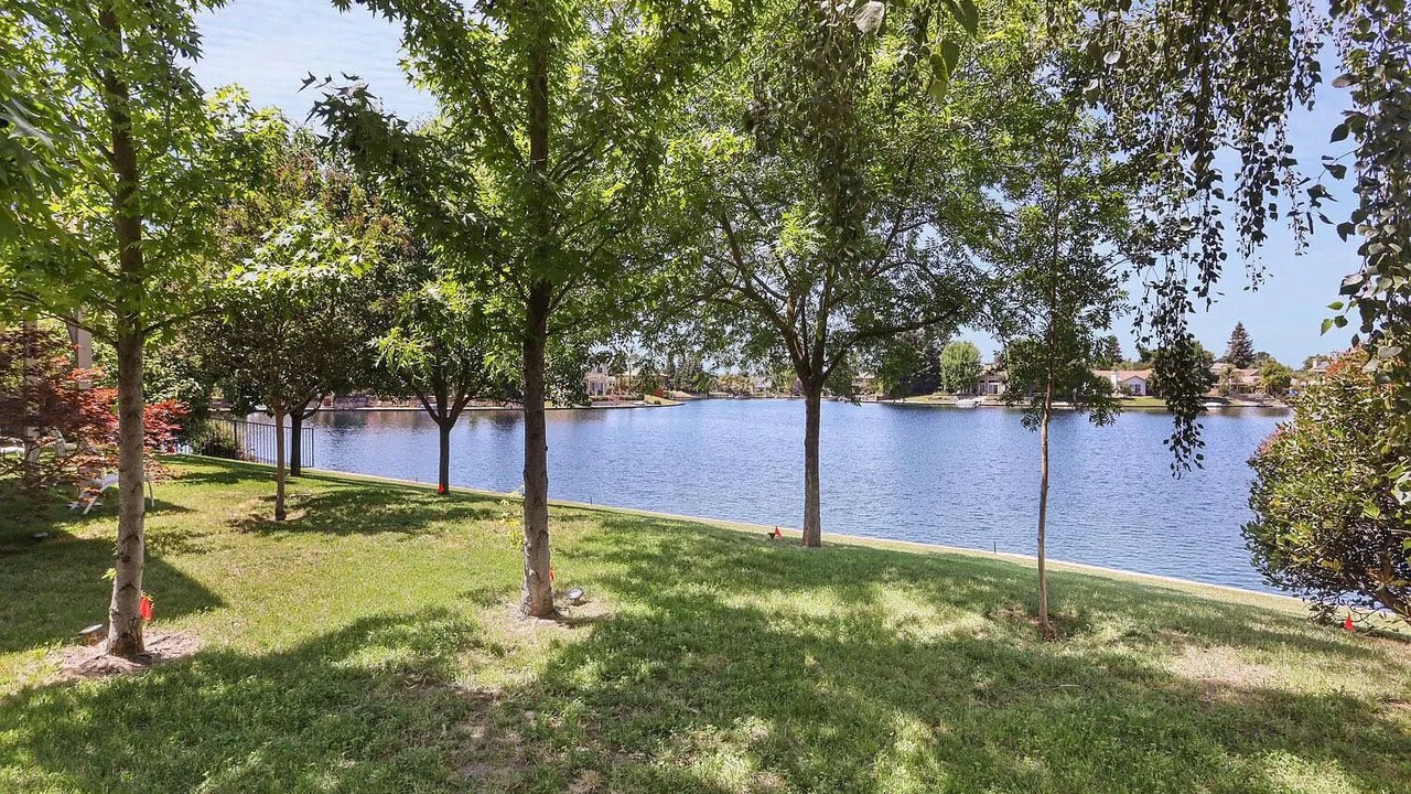 Photo of Outdoor in Spanos Park