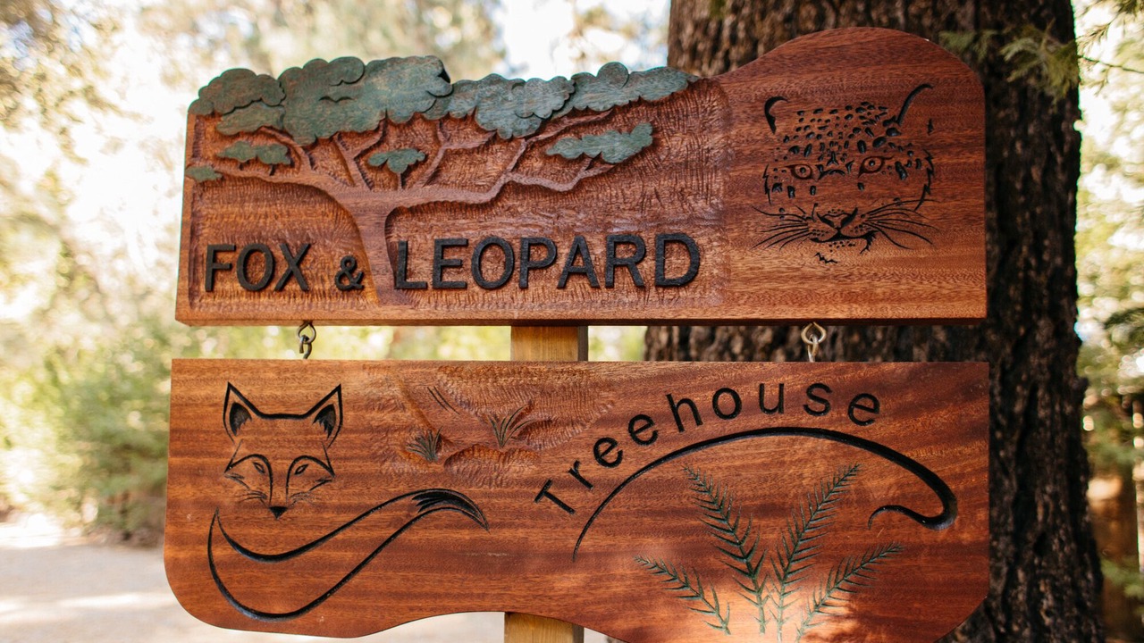 Photo of Outdoor in Pine Cove