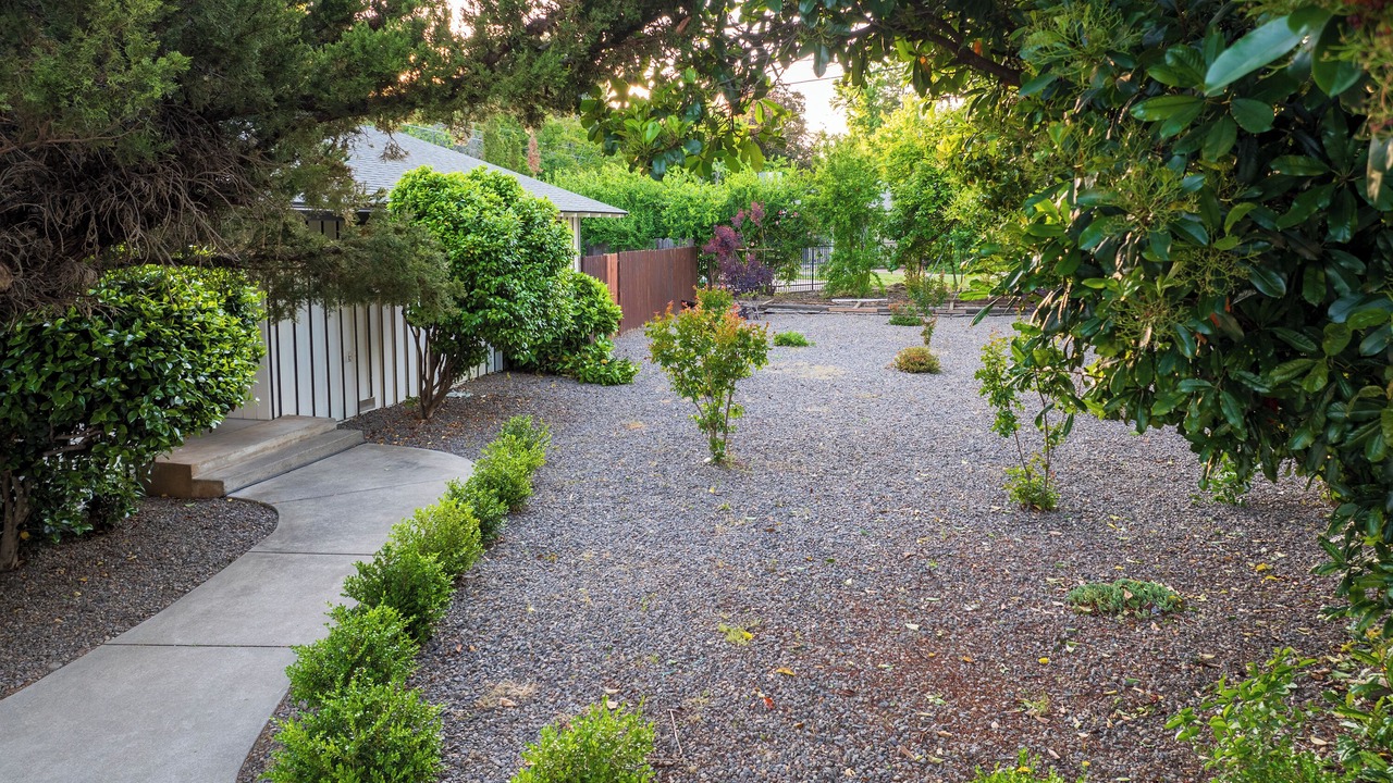Photo of Outdoor in Chico