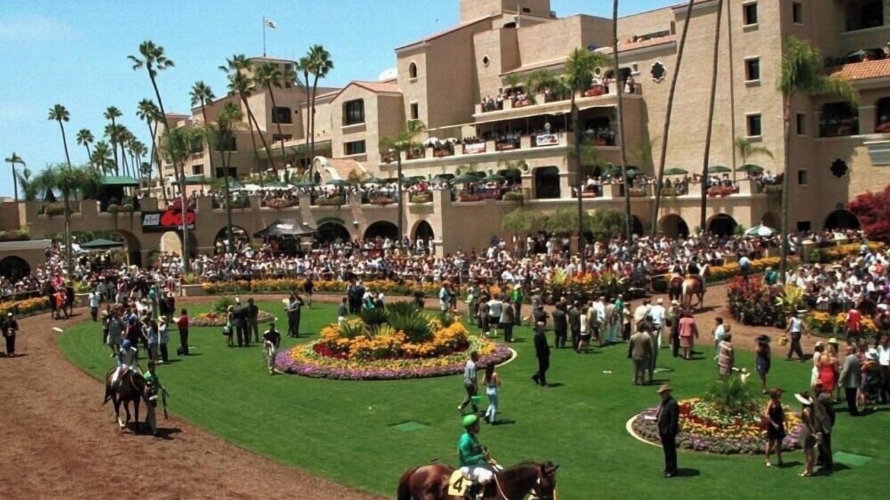 Photo of Others in Del Mar Heights