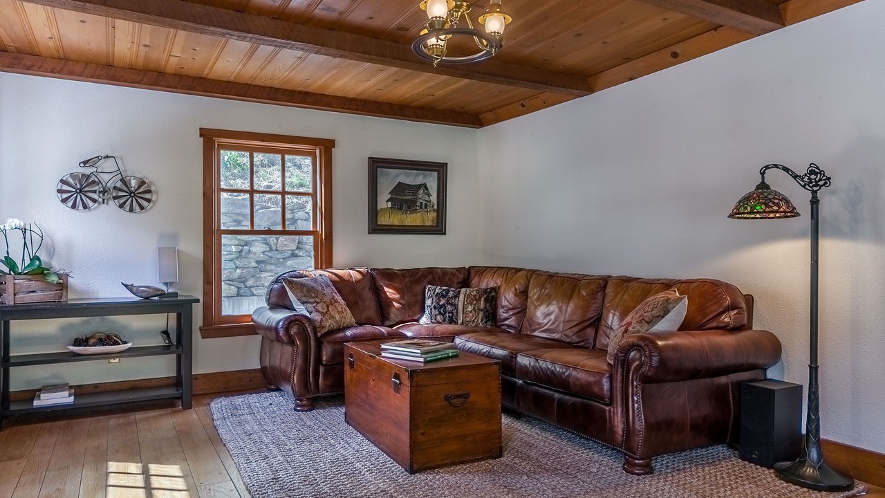 Photo of Livingroom in Downieville