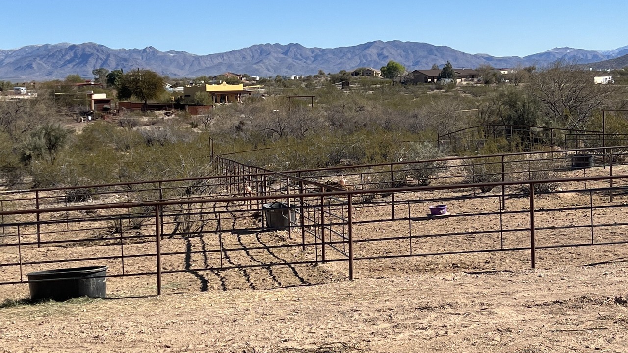 Photo of Others in Wickenburg