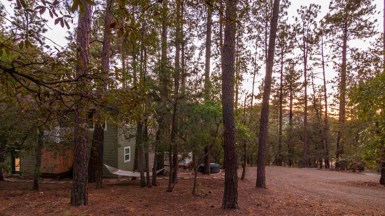 Photo of Others in Prescott
