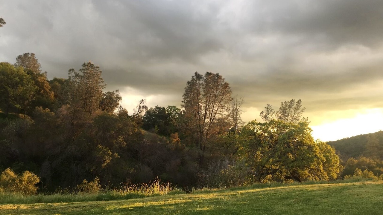 Photo of Outdoor in Raisin