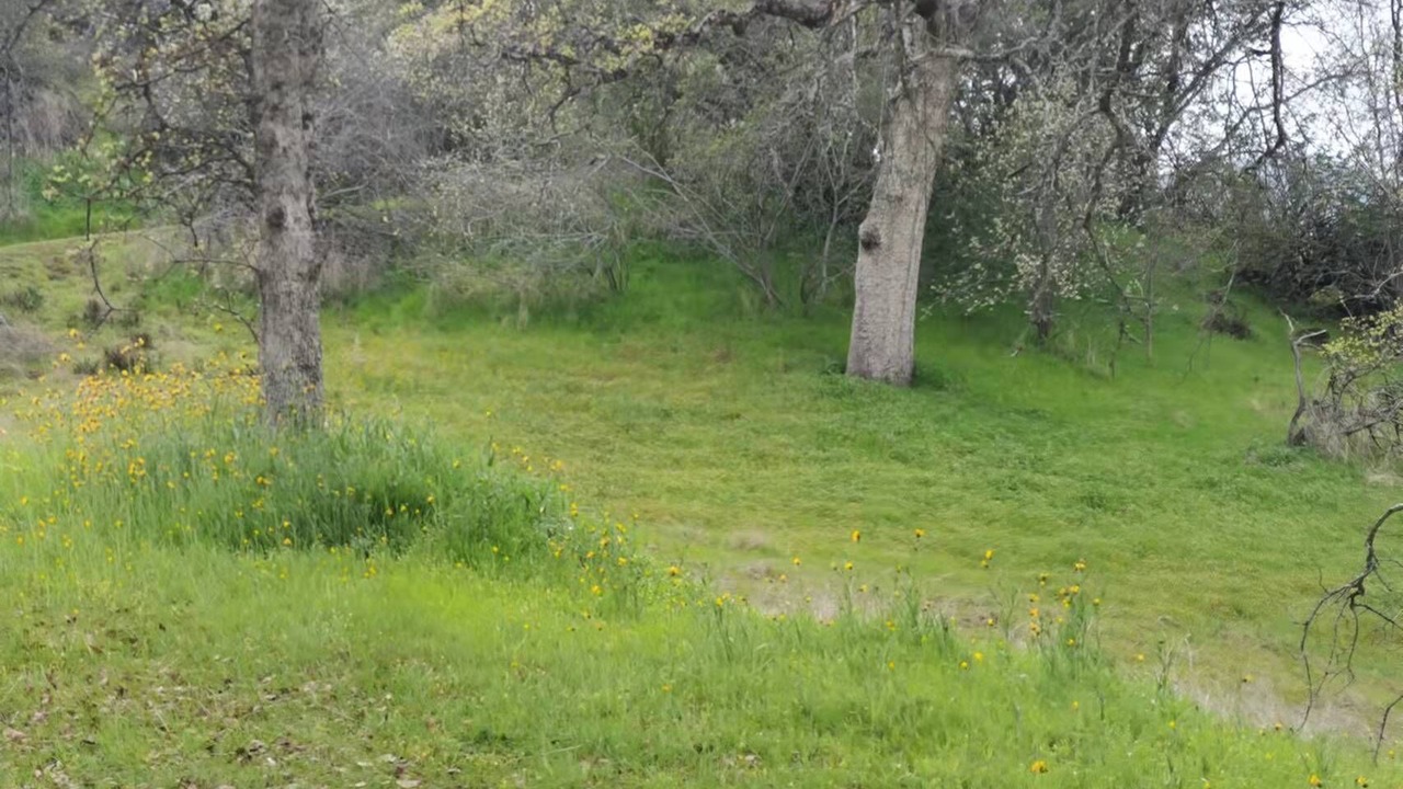 Photo of Outdoor in Raisin