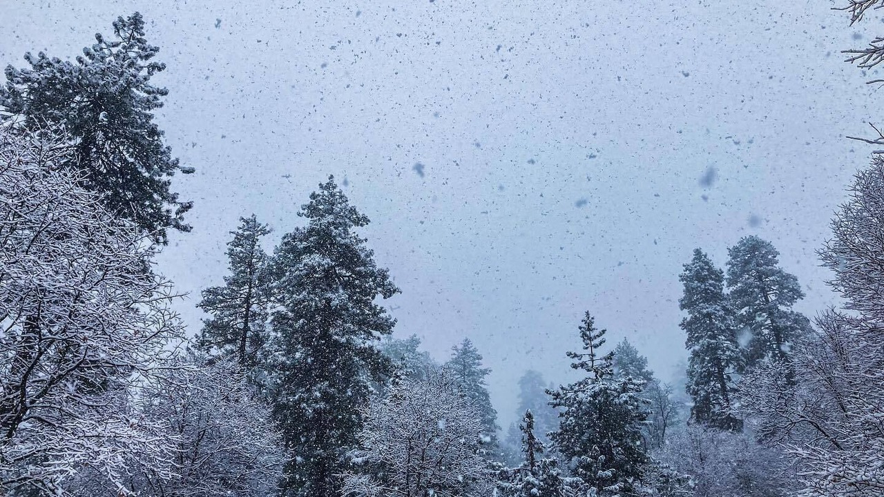 Photo of Outdoor in Crestline