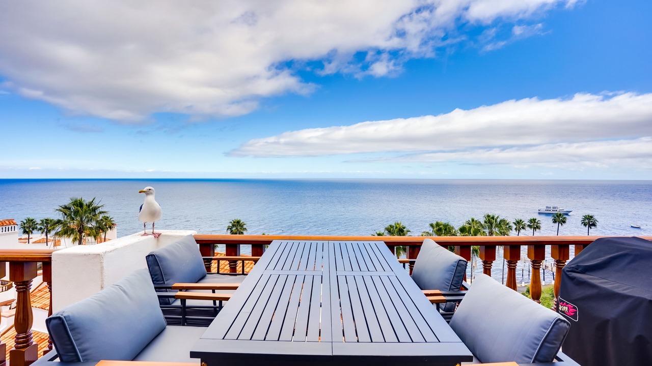 Photo of Outdoor in Avalon