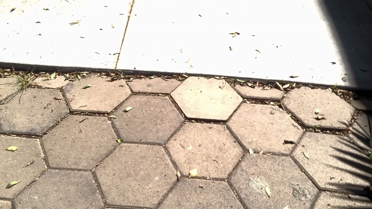 Photo of Outdoor in Alamitos Beach