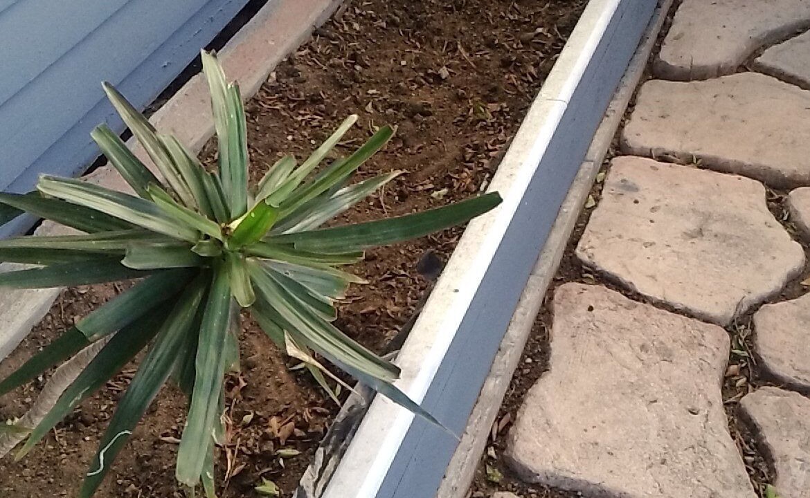 Photo of Outdoor in Alamitos Beach