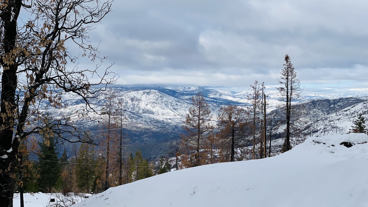 Photo of Others in Dogwood Mountain