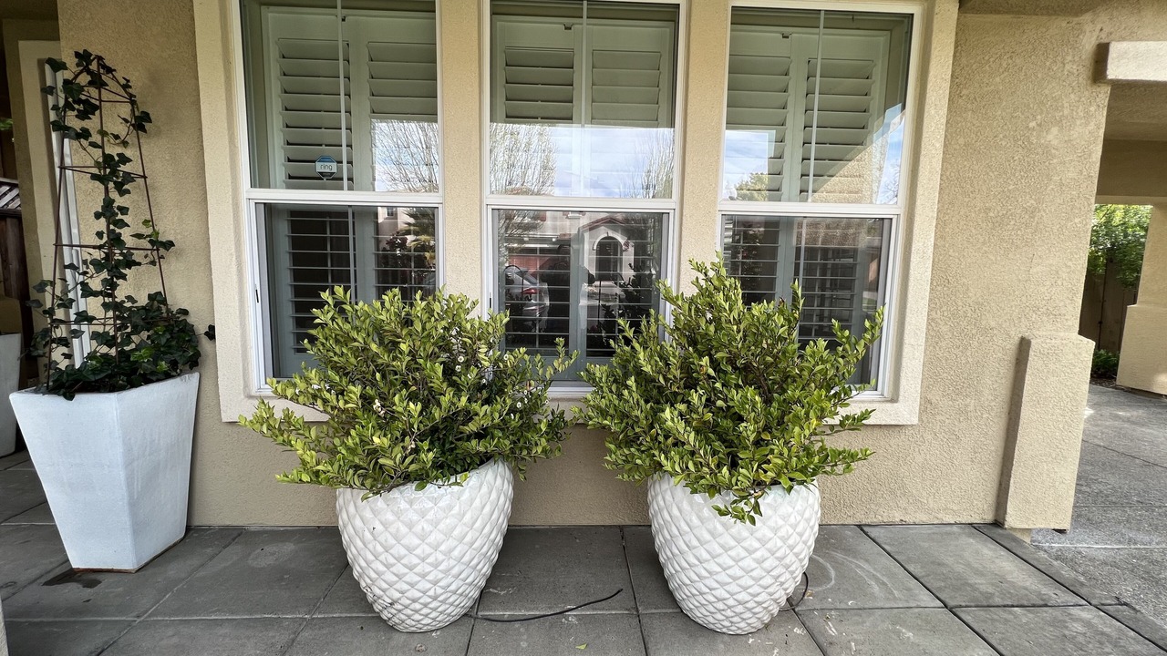 Photo of Outdoor in Windsor