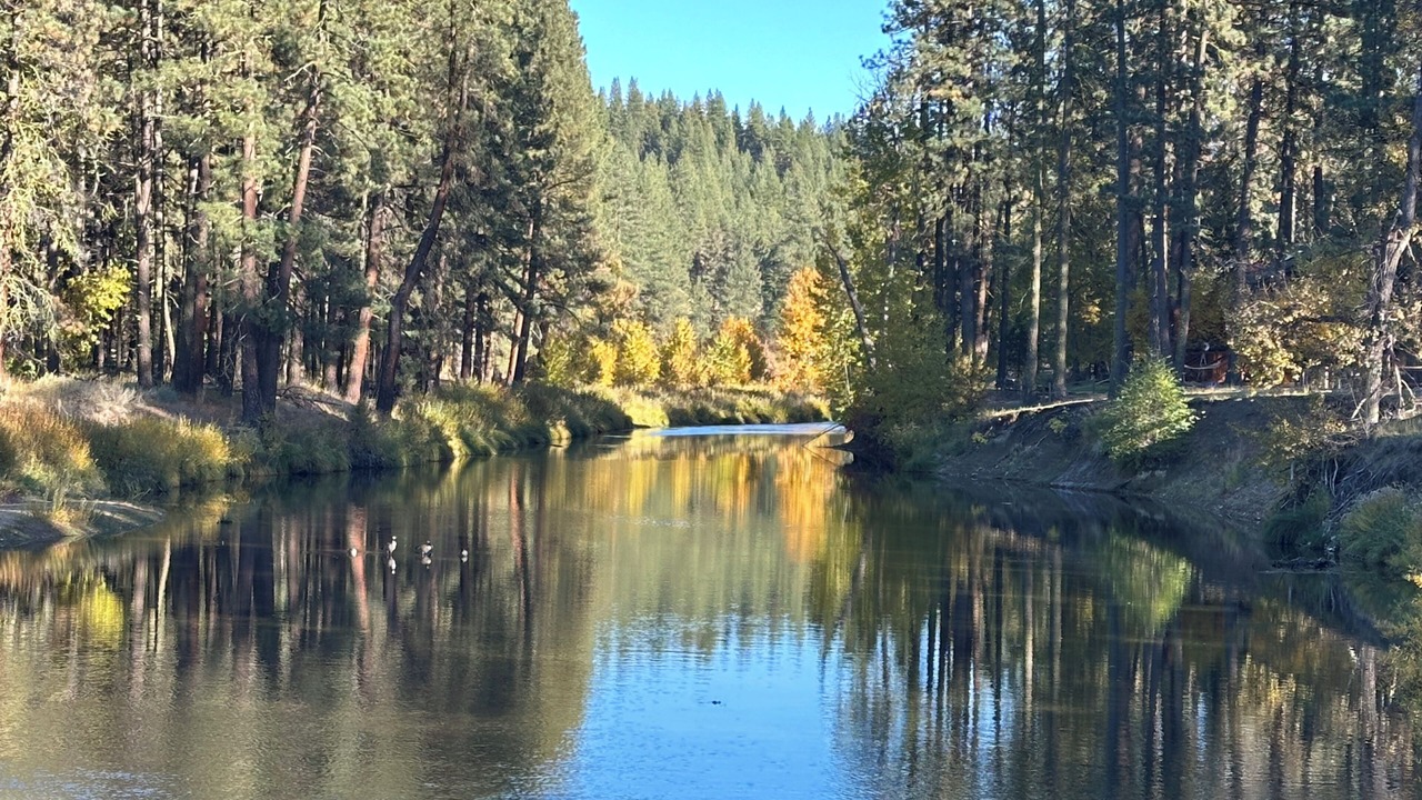 Photo of Others in Plumas Eureka Estates