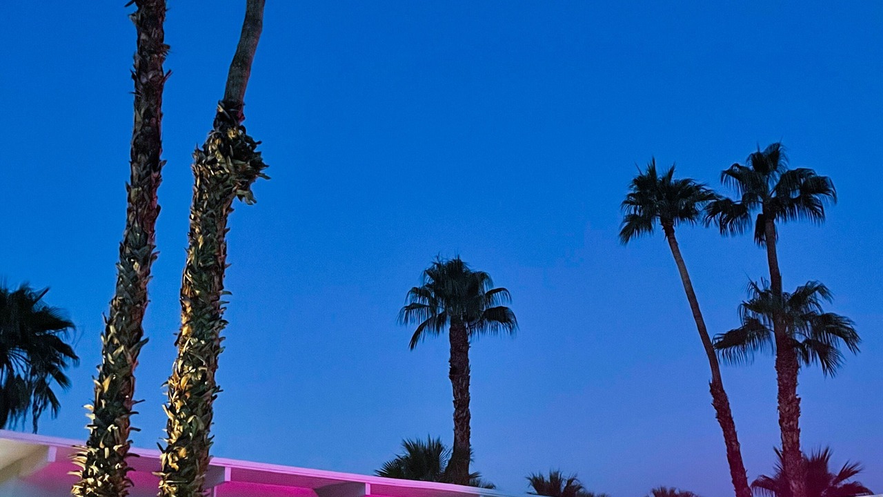Photo of Outdoor in Racquet Club Estates