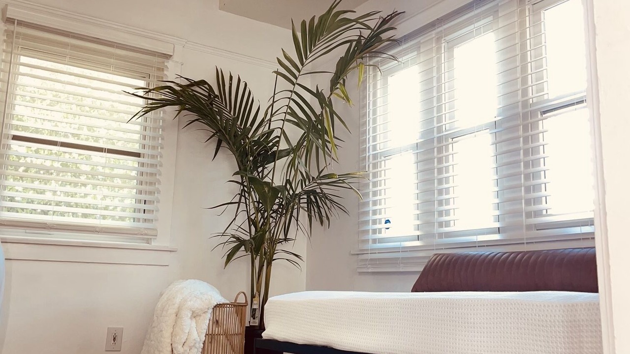 Photo of Bedroom in Franklin