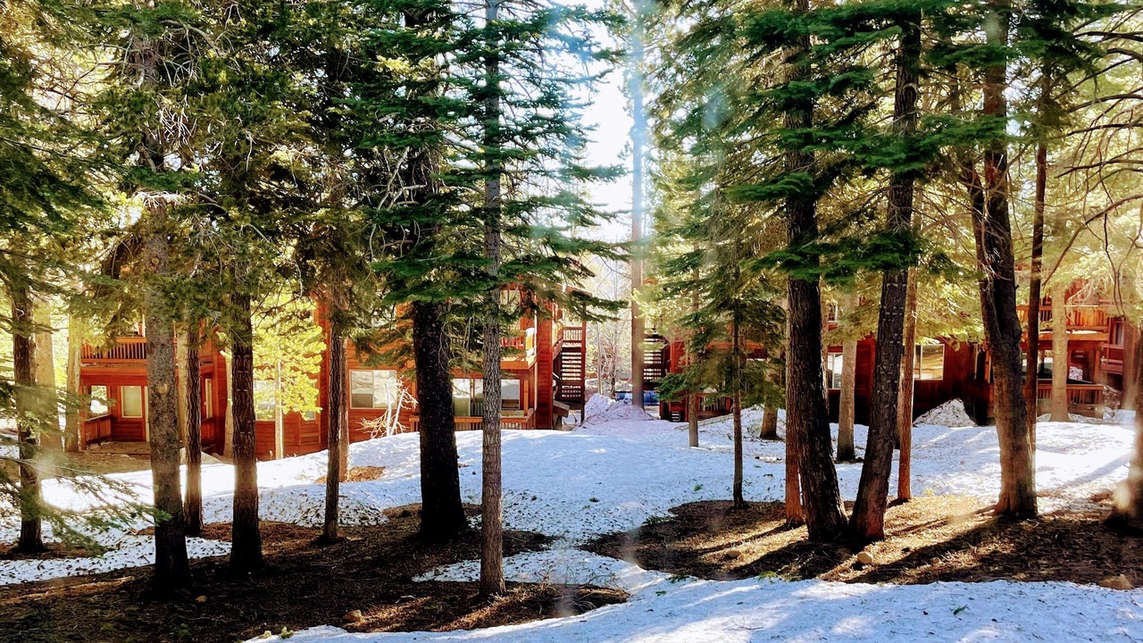 Photo of Outdoor in Truckee