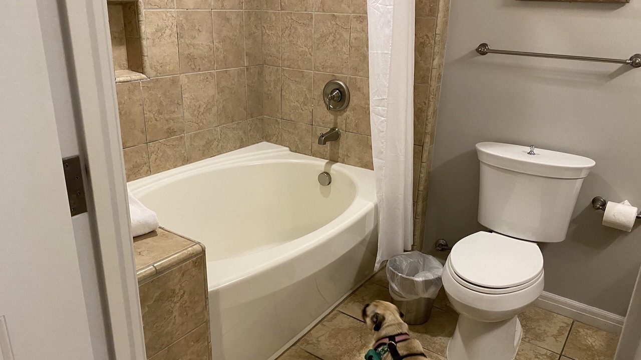 Photo of Bathroom in Napa