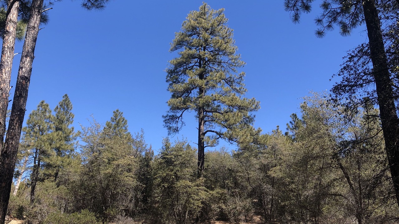 Photo of Outdoor in Oak Knoll Village