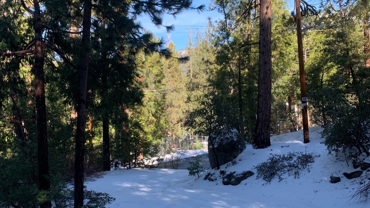 Photo of Others in Idyllwild