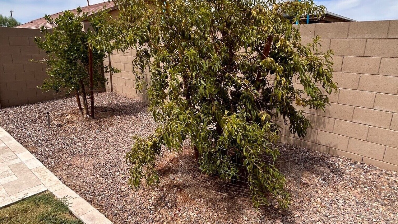 Photo of Outdoor in Maricopa County