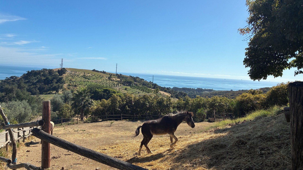 Photo of Others in Goleta