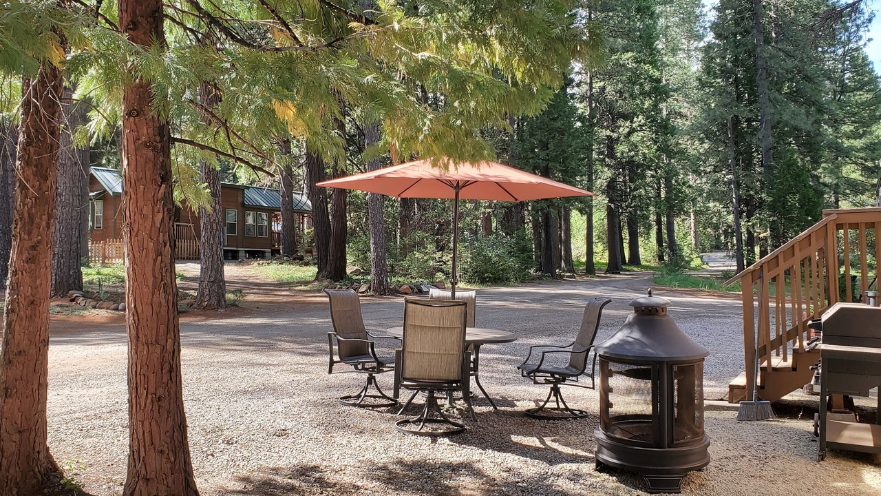 Photo of Outdoor in Shingletown