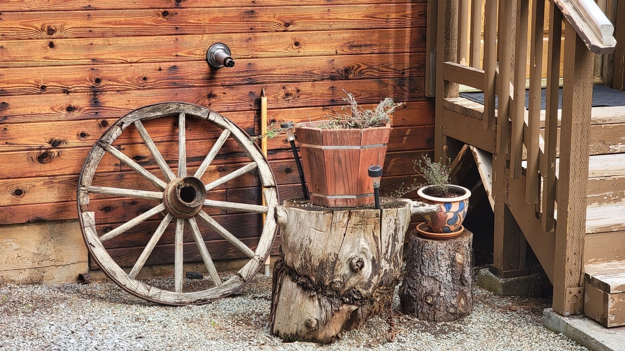 Photo of Outdoor in Shingletown