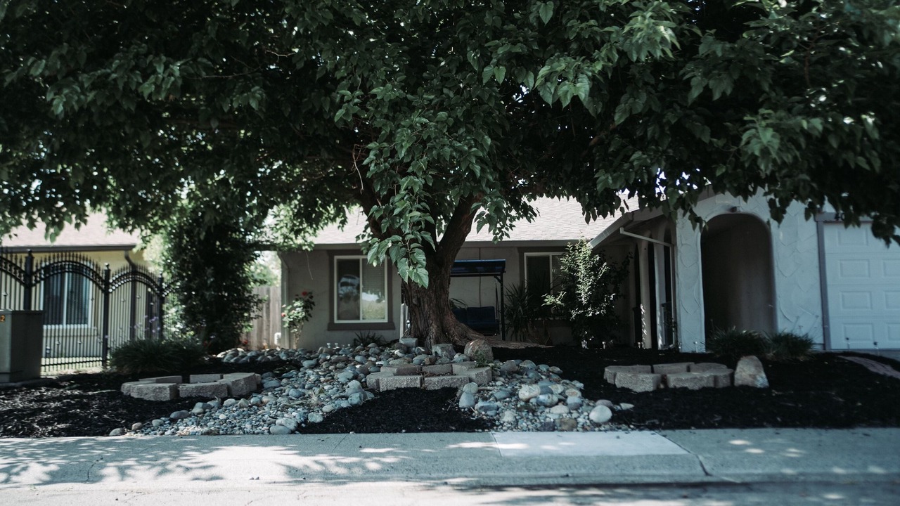 Photo of Outdoor in North Highlands