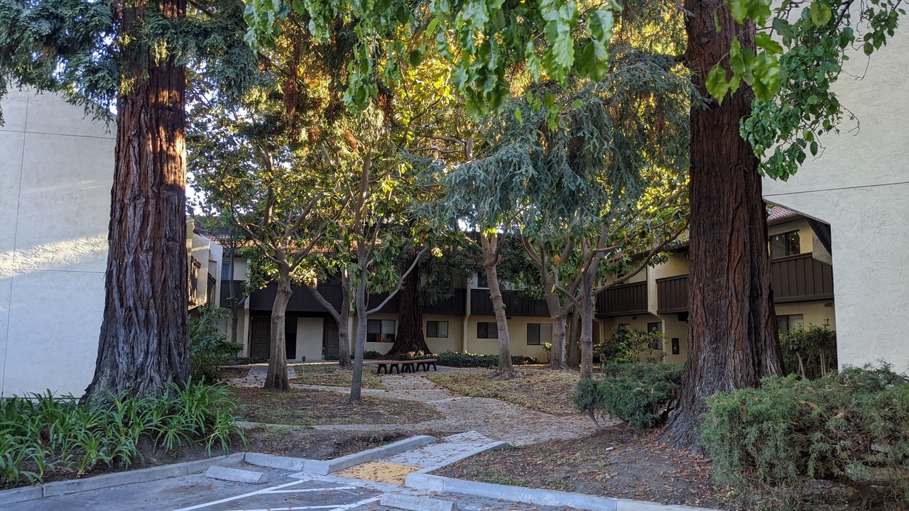 Photo of Outdoor in Sunnyvale