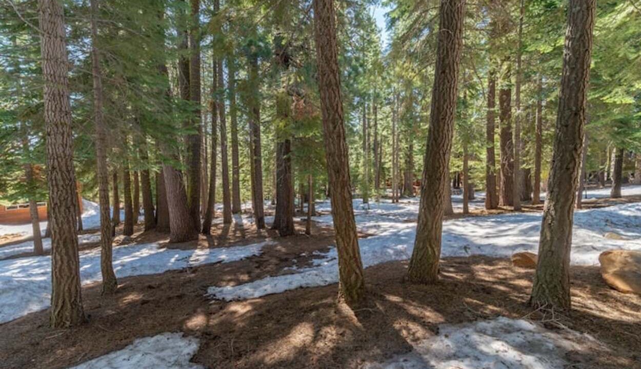 Photo of Outdoor in Truckee