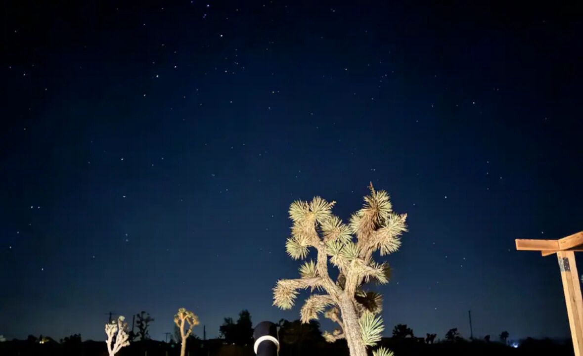 Photo of Others in Yucca Valley