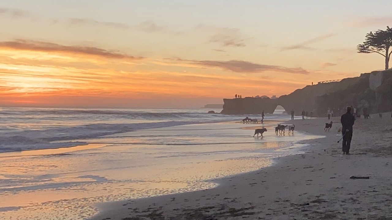 Photo of Others in Westside Santa Cruz