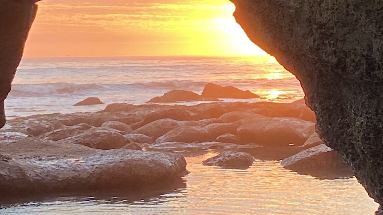 Photo of Others in Westside Santa Cruz
