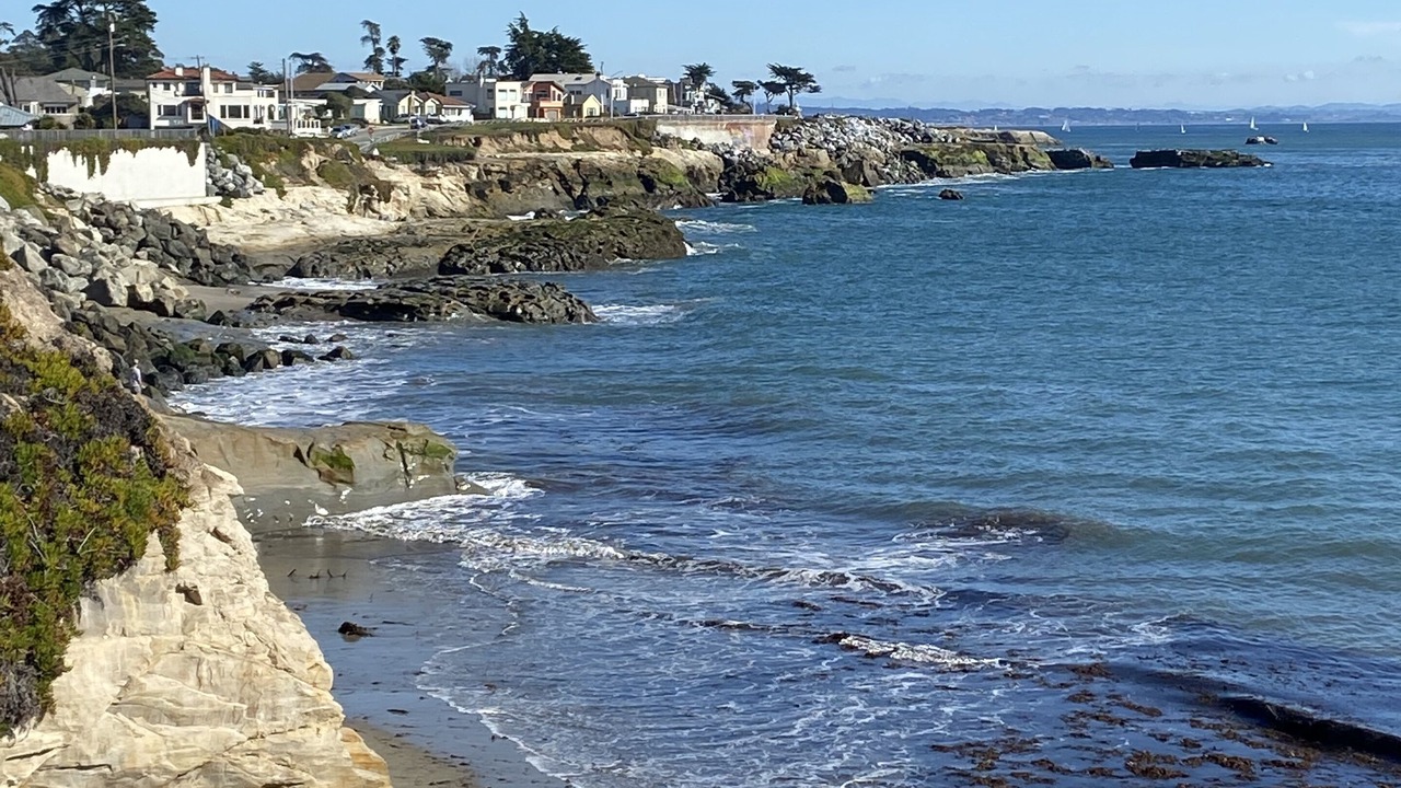 Photo of Others in Westside Santa Cruz
