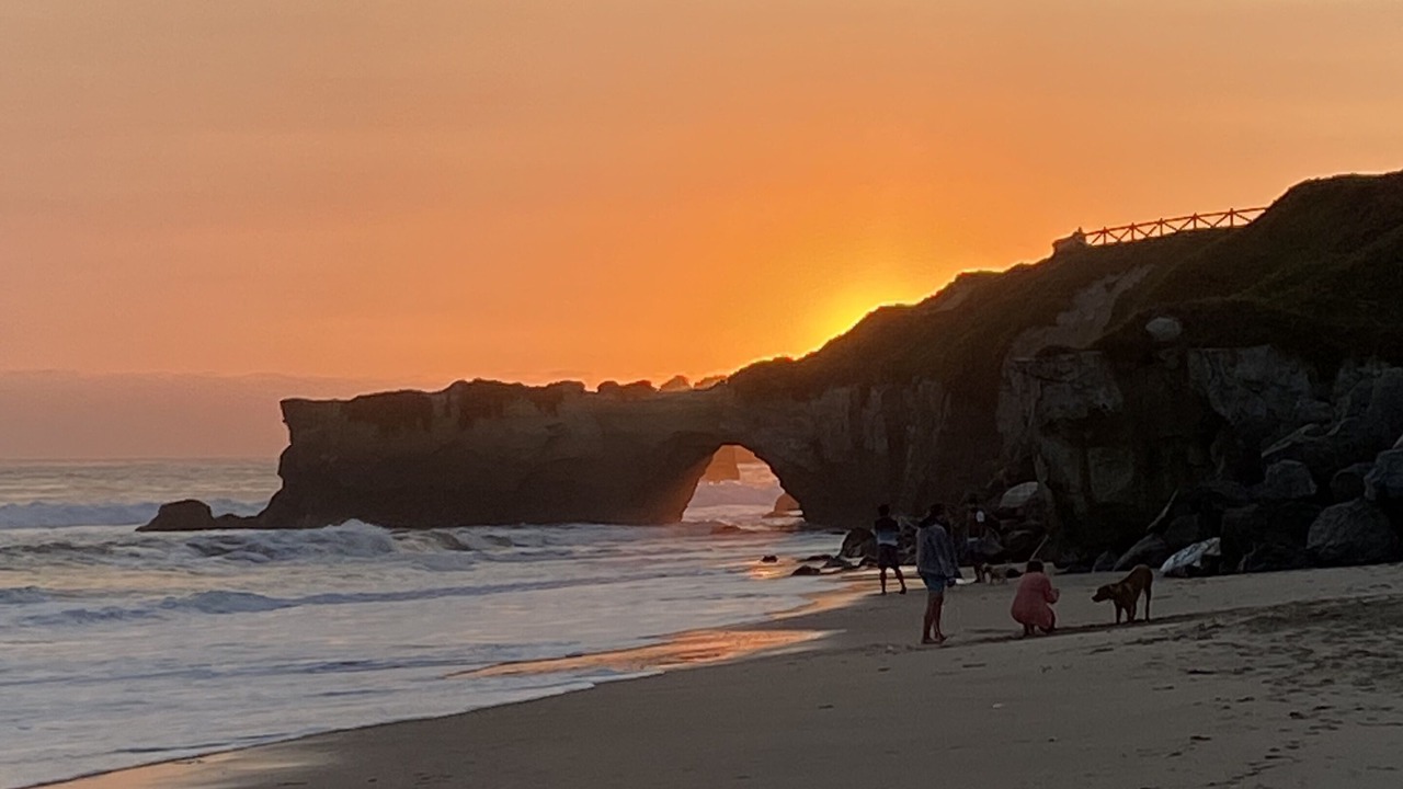 Photo of Others in Westside Santa Cruz