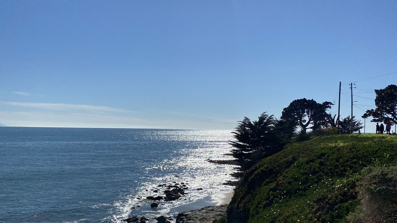 Photo of Others in Westside Santa Cruz