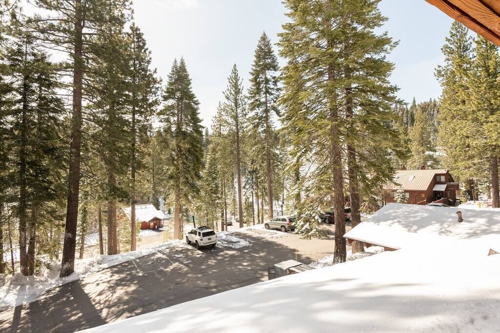 Photo of Others in Tahoe Woods