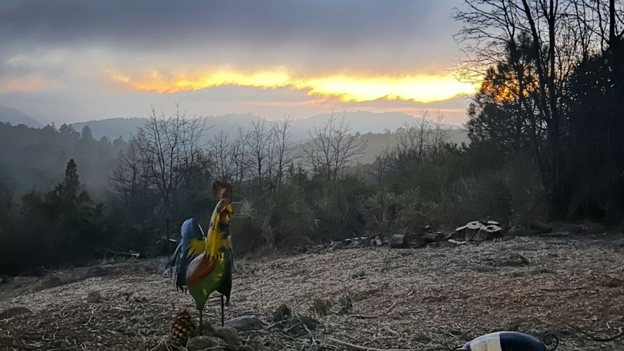 Photo of Others in Julian